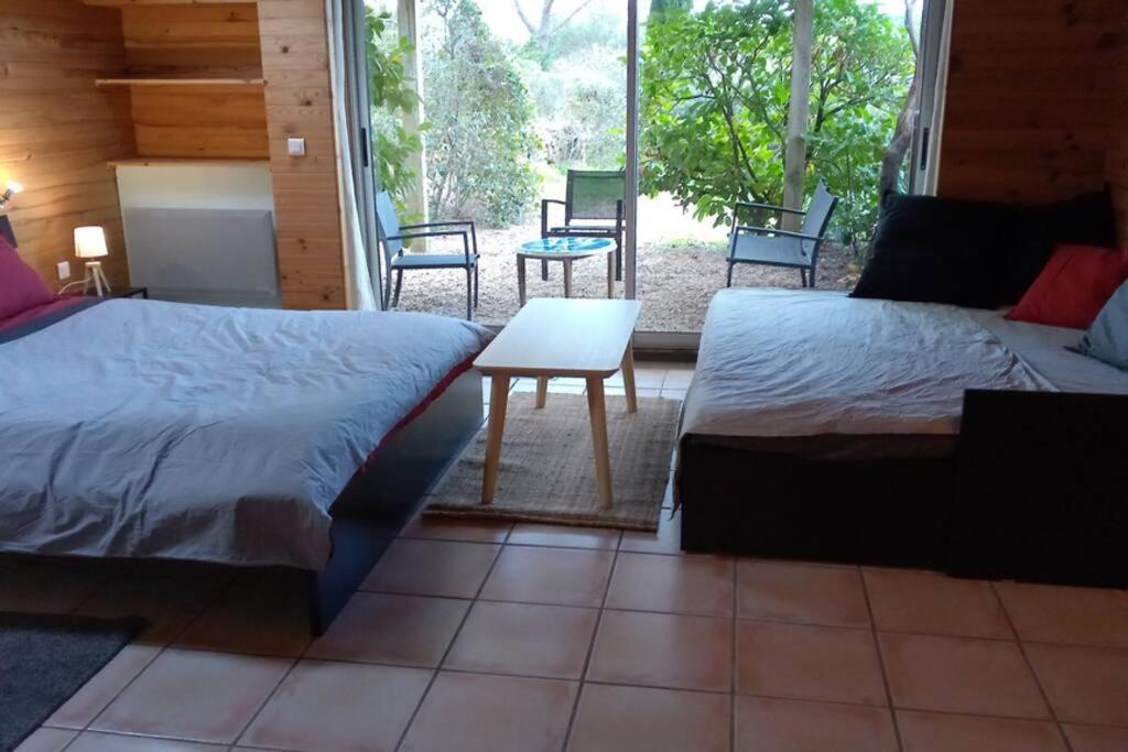 Studio 32M2 - Dans Propriete Avec Vue Imprenable Sur Le Lac Du Salagou Liausson 外观 照片